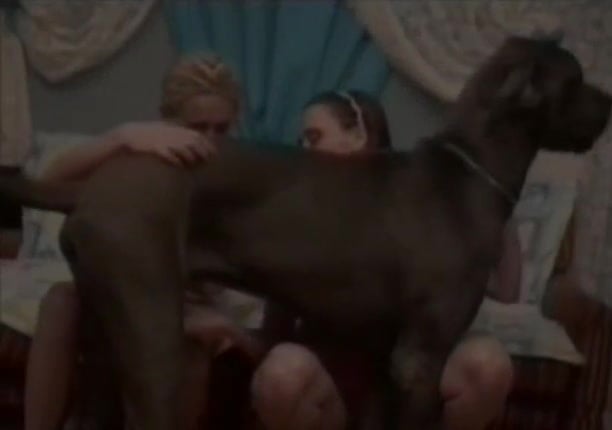 Baise canine sauvage : sperme et jouissance sans limites
