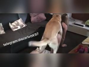 K9-Freuden und zoophile Fantasien werden enthullt