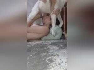 Sexdog Dynamics: Pushing Boundaries