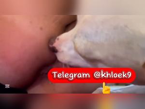 Jeder Atemzug, ein brutales Verlangen: Tiere und Verlangen