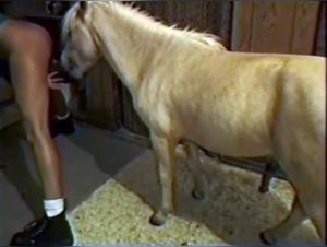 Mujer se aparea con un caballo en un emocionante video sexual