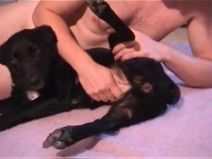 Hardcore Sex Scene with a Dog