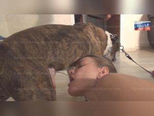 A Forbidden and Intense Sexual Experience