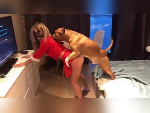 Extreme dog sex video