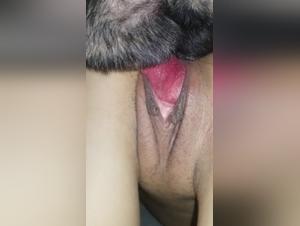 A Forbidden Relationship: Dog and Woman