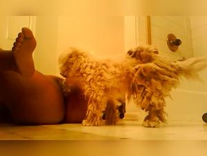La tuta che scopa con il suo cane tubo porno gratis