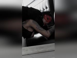 An extreme sex moment with the cutest dog ever