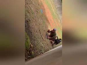 Bestial and Extreme Video