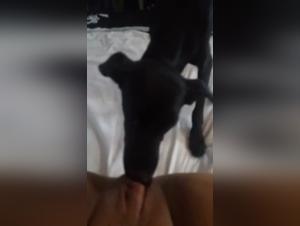 Bestiality sex with a dog: A morena without taboos