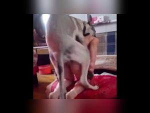 Exploration of limits and intense pleasure in a bestial encounter