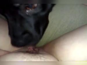 Immersione nell'oscuro mondo della zoofilia: Fuck with Dog, Undeniable Will