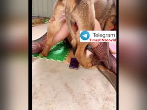 Chinese Femme Desir: An Unexpected and Intense Bonding with Her Dog