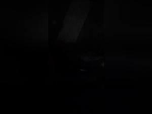 The Animal Kingdom of Passion: Cock and Mate Explore Wild Sexual Boundaries.