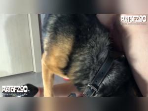 Film erotique avec une femme excitee a faire l'amour avec son chien