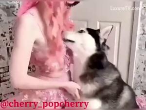 Dog Sex Video: An Exciting Experience