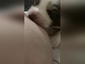 Explore the Taboos of Bestiality and Extreme Sex