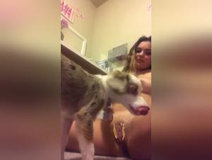 Sex with Dog Video - Extreme Zoophilia
