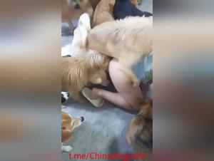 Gruppo selvaggio con cinese e coreano