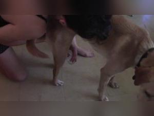 Bestiality sex video: An extreme experience with a dog