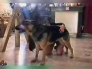 Hard zoophilia video with a dog