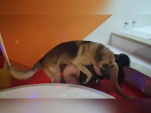 Hardcore sex videos with dogs