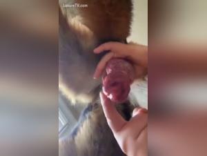 Sinnesforschung: Wilde Kusse, explosive Cumshots