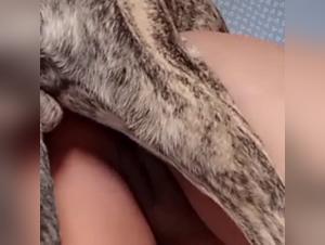 Extreme dog sex video