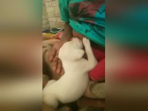 Bestiality and Zoophilia: An Extreme Experience