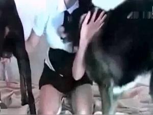 Presentazione totale, cazzo crudo con due cani implacabili
