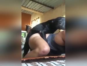 Canine submission, forbidden pleasure