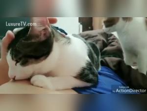 dog knot girl exploration