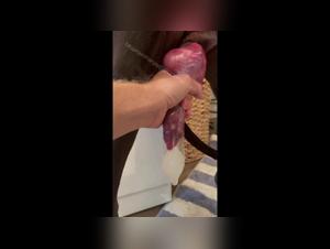 Bestiality: never-before-seen sex scenes with dogs