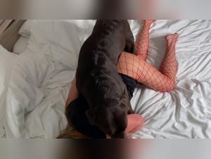 Una relazione tra una donna e il suo cane, una scopata intima