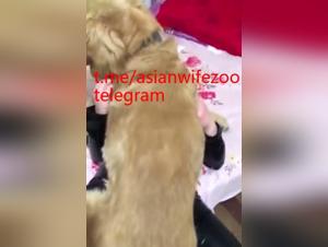 Broken taboo, animal fuck and perverse delight