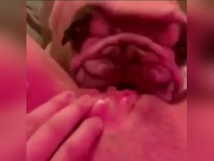 Explore the Limits of Ecstasy with this Bestiality Video