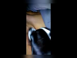 Discover the Ecstasy of Zoophilia