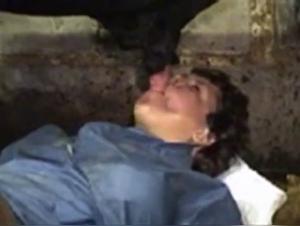 dog deepthroat compilation