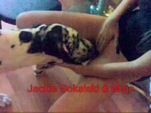 Parte 1: Intensa scopata tra animali e cane
