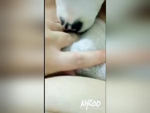 A Woman Marries Her Dog in a Game of Taboo