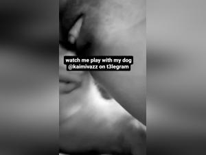 Cartoons and Zoo Taboo Dynamics