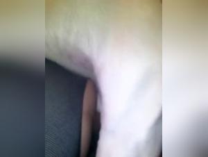 Intense sex scene with dog in bestiality video