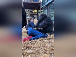 Discover the Hottest Porn Clips Featuring Canine Action and Find Out Why Our Collection Is Your New Favorite Thing