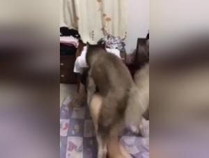 200 Full Videos - Don't Miss This Opportunity