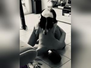 Sex video with a dog: an extreme experience
