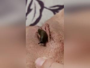 No-Holds-Barred Bestiality Scene