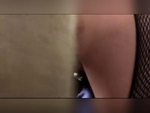 Explorez les limites du plaisir avec Sonya et son compagnon canin