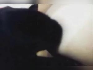 Bestiality and Extreme Sex at its Best