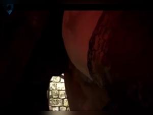 Discover Bestiality and Sex with Animals in 3D