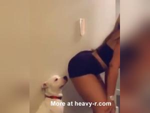 dog sex videos