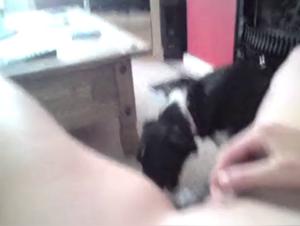 Discover the Ecstasy of Zoophilia